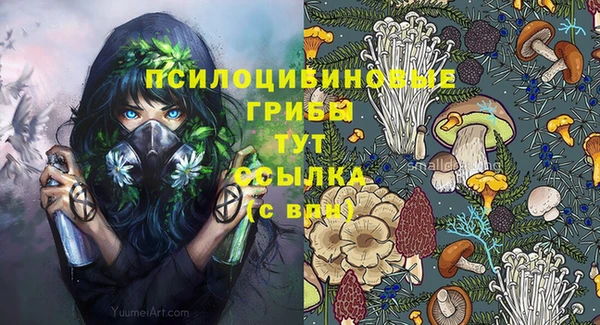 дживик Алексин