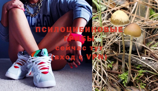 mdpv Алзамай