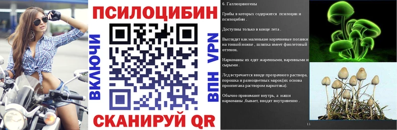 Галлюциногенные грибы Psilocybe  MEGA ТОР  Куйбышев 
